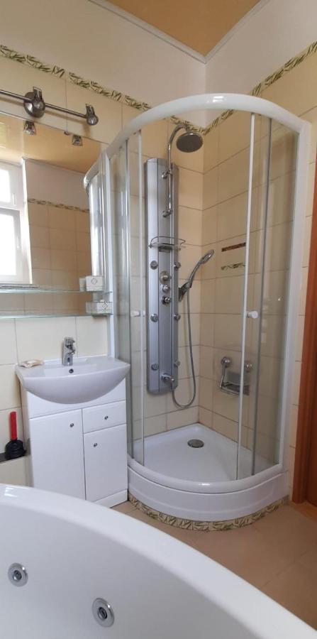 شقة Apartament Kasztanowy غليفيتسه المظهر الخارجي الصورة